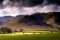 Dodd, Lorton Valley and Sheep.