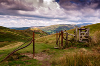 Gateway into Lorton Vale.