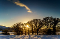 Stanger trees and cloud, Lorton Valley.