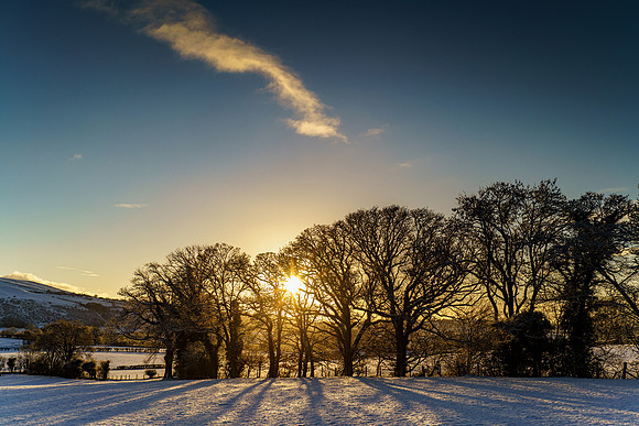 Stanger trees and cloud, Lorton Valley.