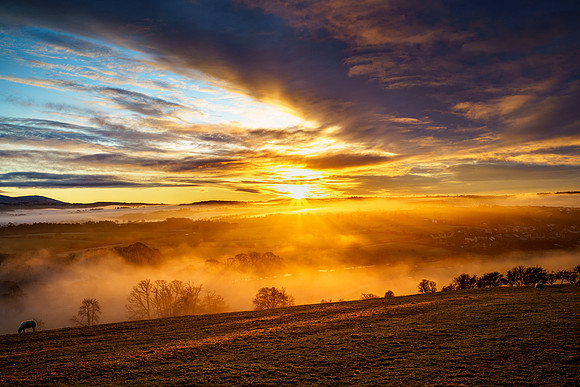 Sunset and sheep, Slate Fell, Cockermouth.